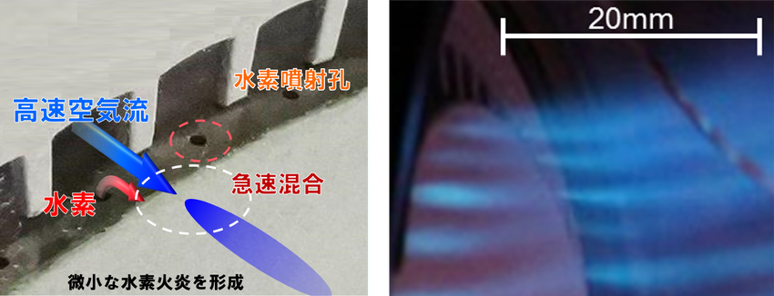 2025_KJ_写真3_4 (カスタム).png