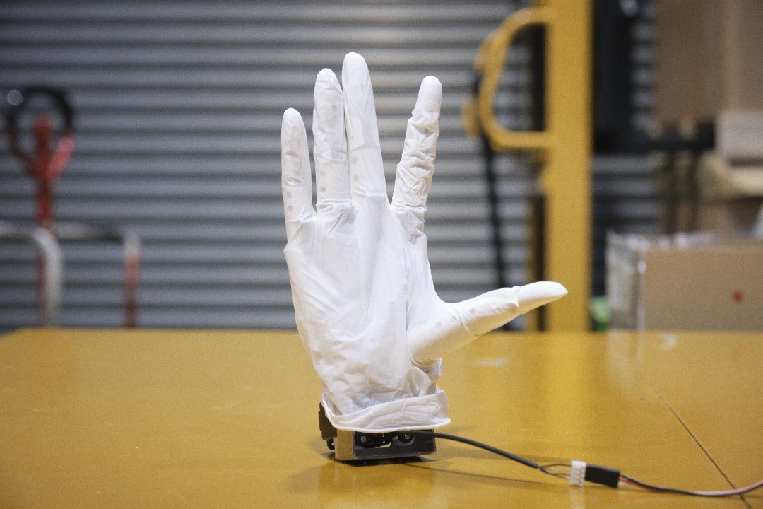 写真11 (カスタム).jpg