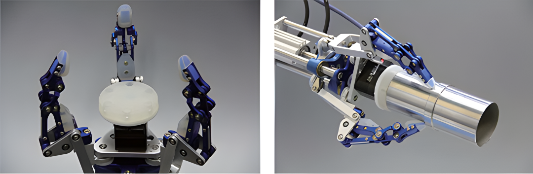 写真7 (カスタム).png