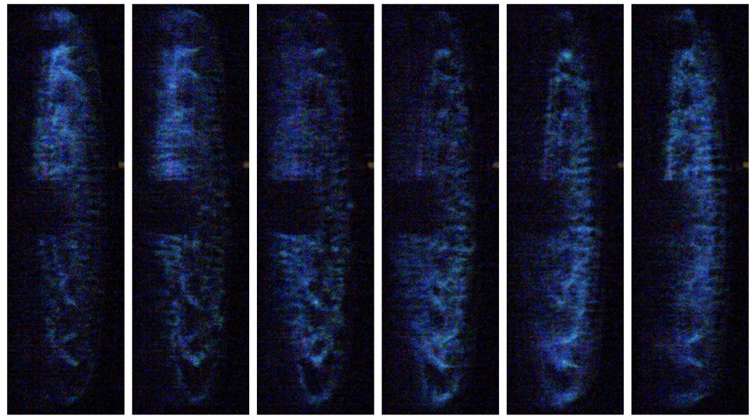 2025_KJ_写真6 (カスタム).png