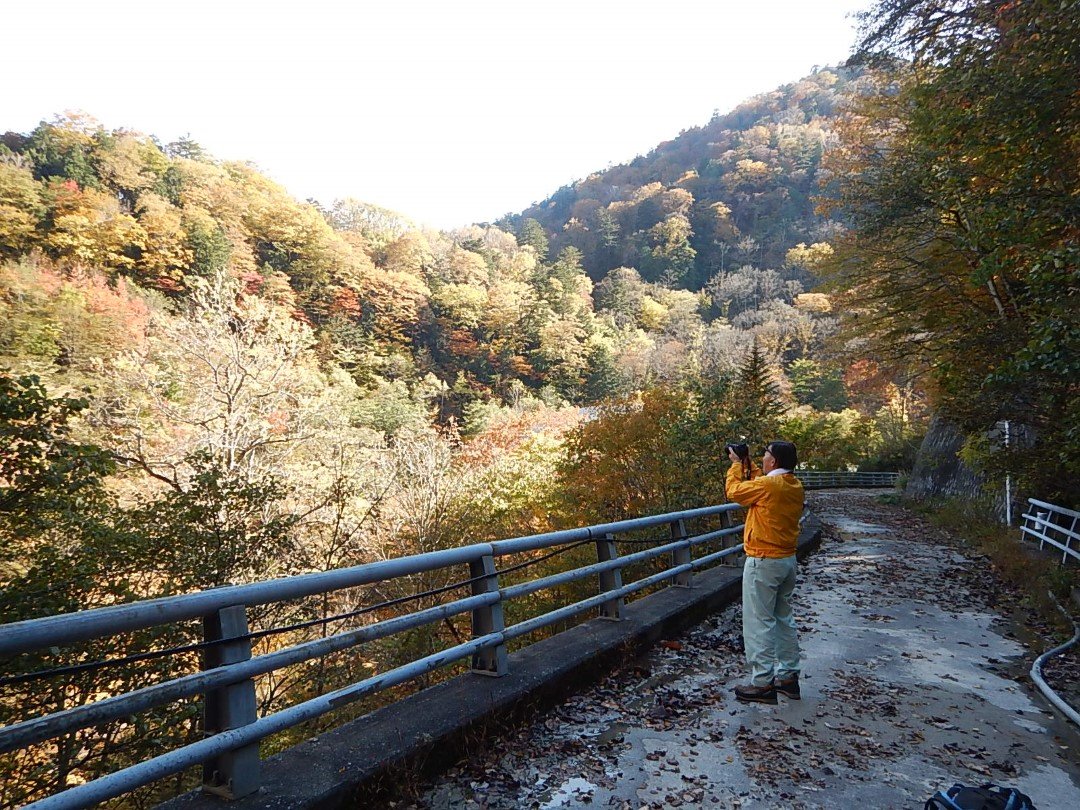 2025_TRK_写真4 (カスタム).JPG