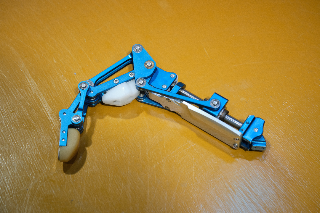 写真5 (カスタム).png