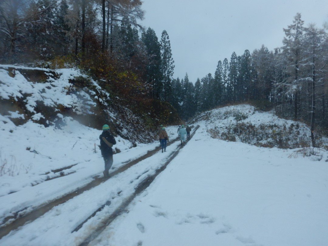 2025_TRK_写真3 (カスタム).JPG