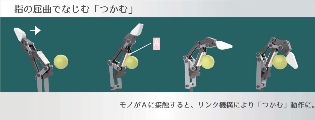 図1 (カスタム).jpg