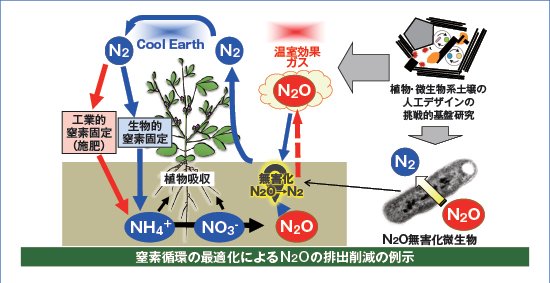 資源循環の最適化による農地由来の温室効果ガスの排出削減の画像