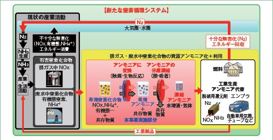 産業活動由来の希薄な窒素化合物の循環技術創出の画像