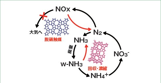 窒素資源循環社会を実現するための希薄反応性窒素の回収・除去技術開発の画像
