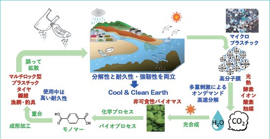 非可食性バイオマスを原料とした海洋分解可能なマルチロック型バイオポリマーの研究開発の画像