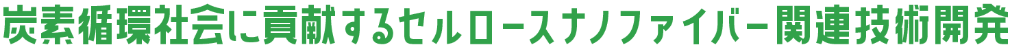炭素循環社会に貢献するセルロースナノファイバー関連技術開発