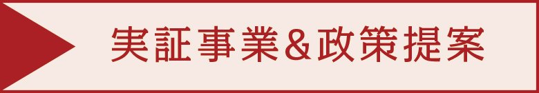 実証事業&政策提案